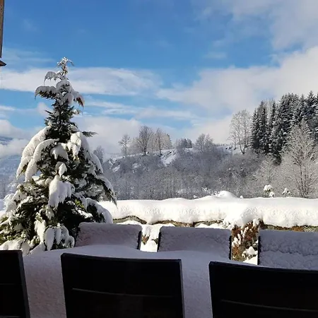 Wellness Bell A Holiday home Murau